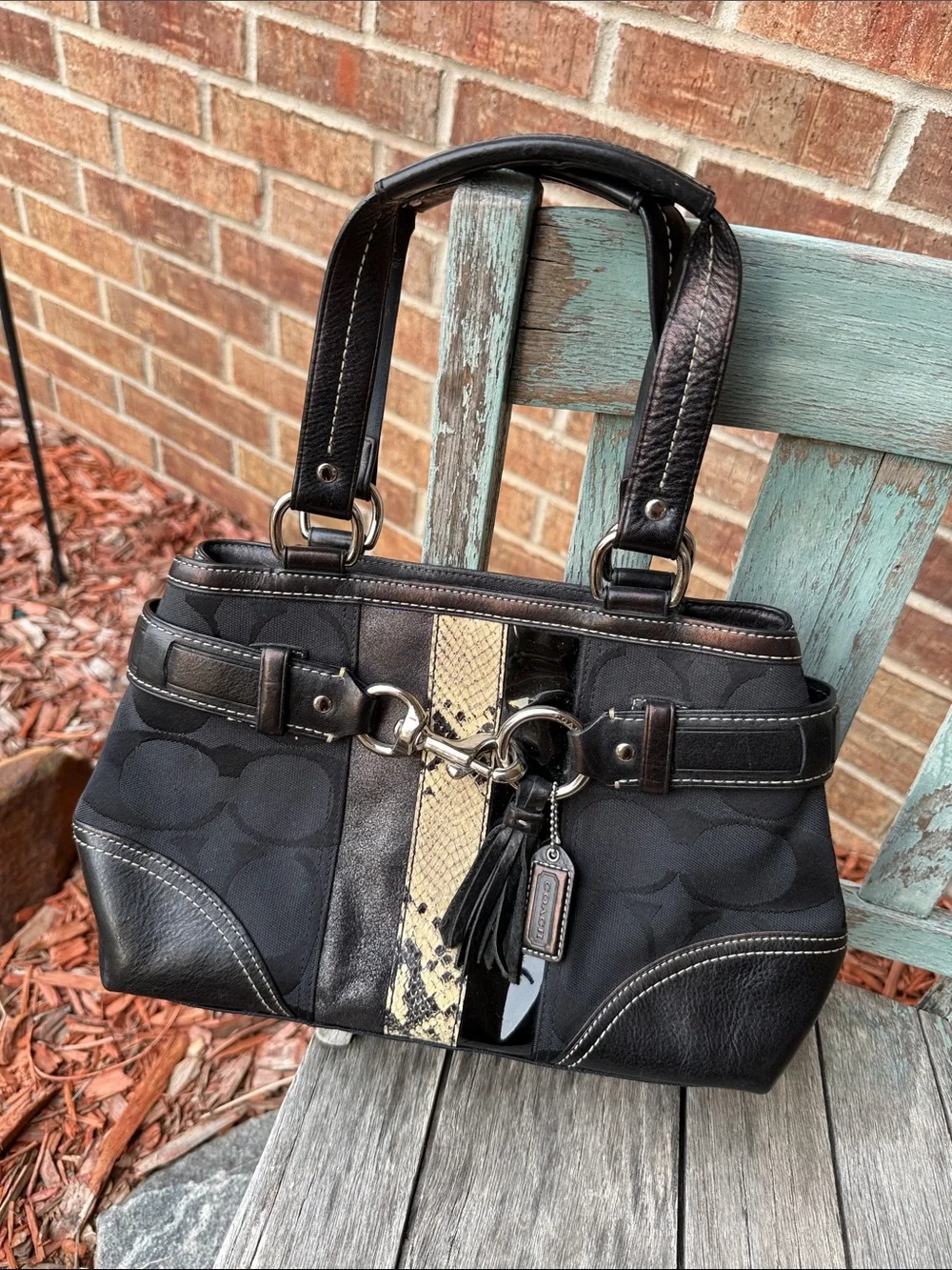 Coach shoulder bag